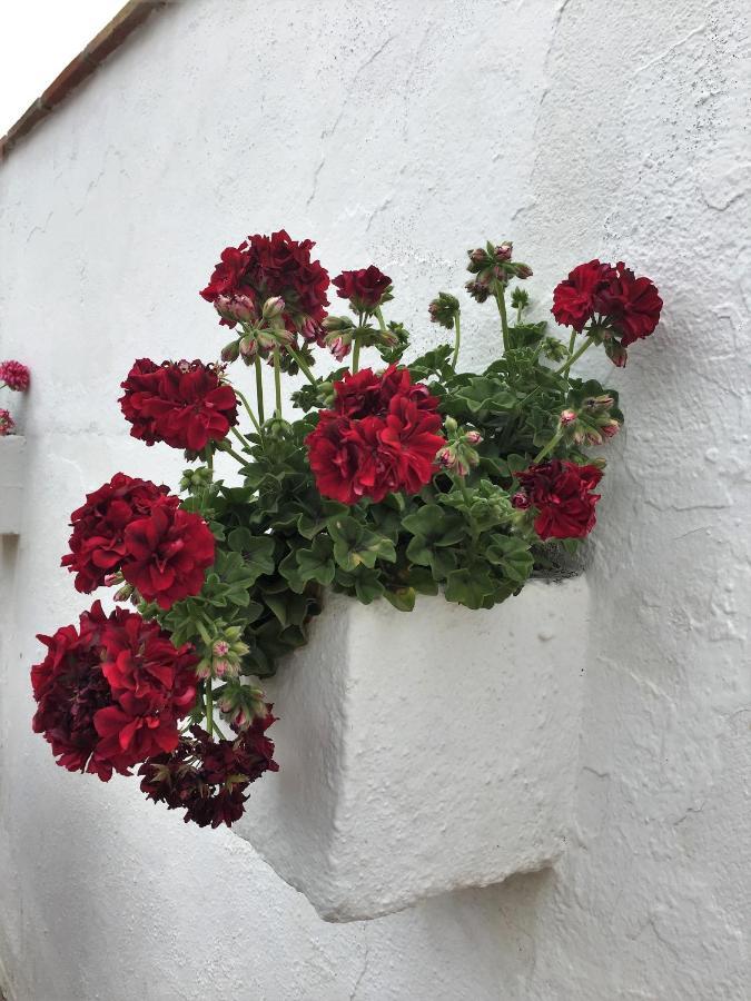 Casa Las Torres B&B Iznate Luaran gambar